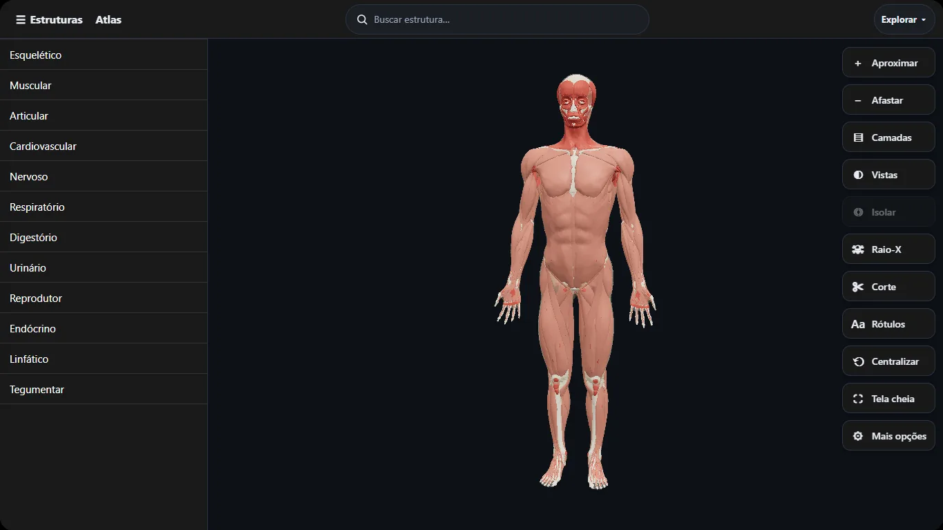 3D atlas with a layered human body and a list of body systems